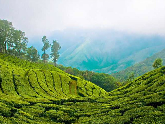 Munnar